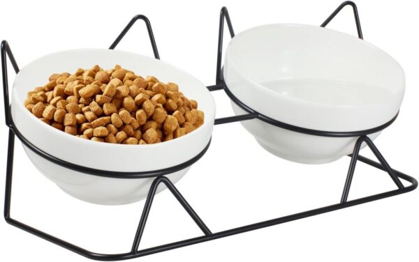 032697b2f978b09aaff1db3ddfbe93d3ed2796fb2a1ffe101b5ec21efc88acf5.jpg Elevated Tilted Cat Bowls for Indoor Cats