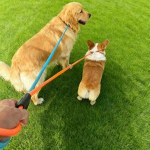 0b3b17249b29cbb340ff074ef24a324bbb7a8a309eb206a030e2985711106f94.jpg Slip Lead Leash 5FT Nylon Soft Dog Leash Slip