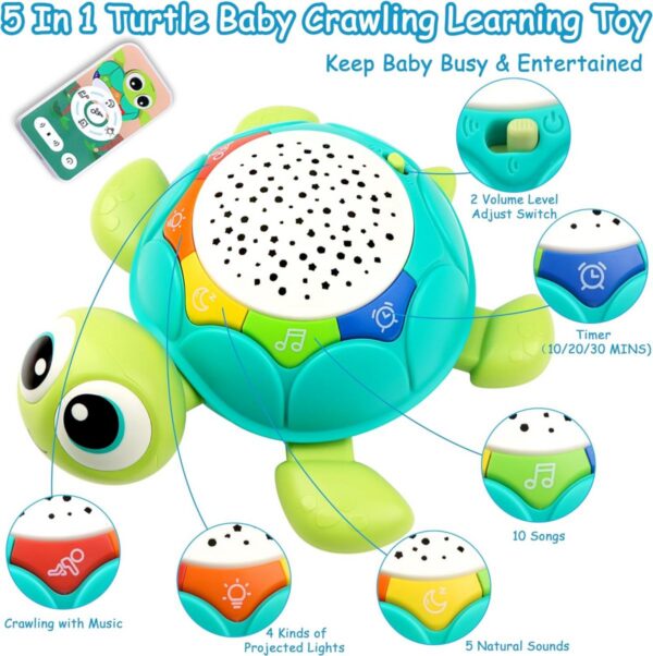 17204266781212.jpg Toy Supplier China 5 in 1 Musical Projector Turtle Crawling Toys Educational Musical Turtle Crawling Baby Toy