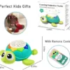 17204266784144-600x539.jpg.webp Toy Supplier China 5 in 1 Musical Projector Turtle Crawling Toys Educational Musical Turtle Crawling Baby Toy