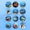 17479662732124-600x600-1.jpg 36Pcs Plastic Ocean Animals Sea Creatures Small Animal Figures Assorted Mini Plastic Animal Figurines Toy