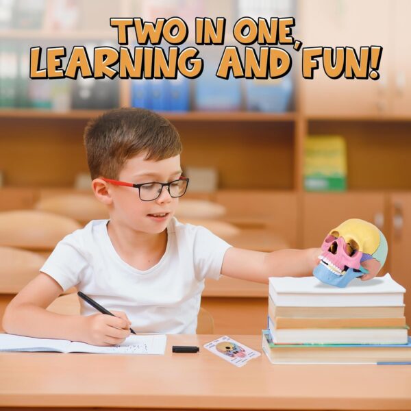 22-6-600x600-1.jpg STEM Toy Medical Science Anatomy 17pcs Human Skull Model with 10 Educational Cards DIY 3D Anatomy Puzzle Toy