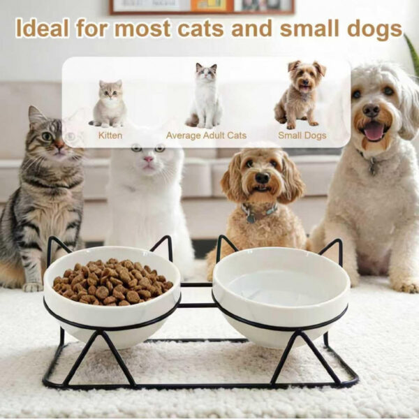 2303153f31ca530130daa1ae2ec92fdaf1bf1f4431ce2eafef0e60087450b46d.jpg Elevated Tilted Cat Bowls for Indoor Cats