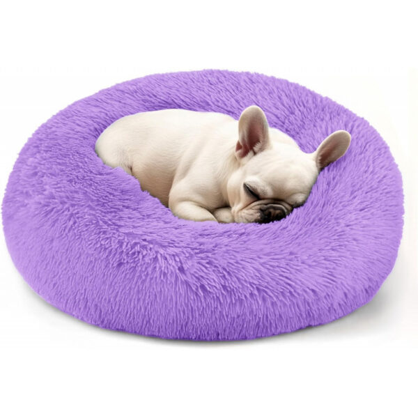 Dog & Cat Bed for Indoor Cats