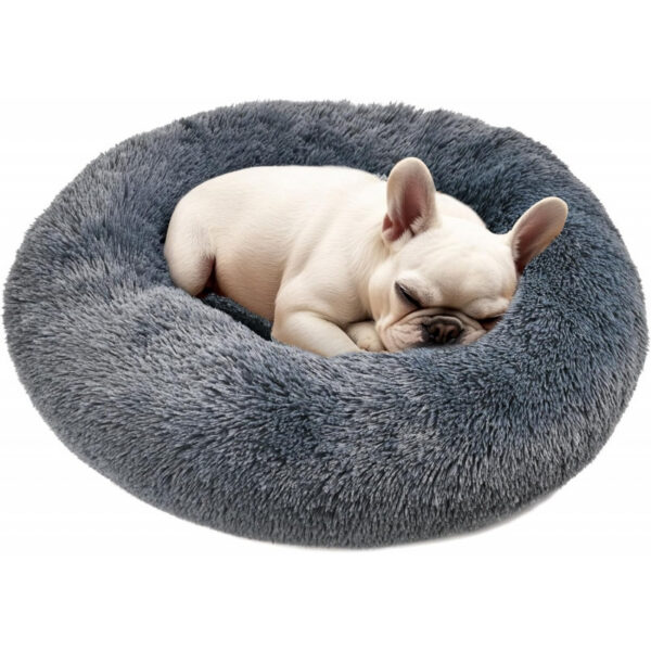 Dog & Cat Bed for Indoor Cats