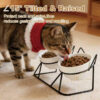 51ecc800e3305584d1180a0683cfca776944a33e69804e48d08d922cbe5840bd.jpg Elevated Tilted Cat Bowls for Indoor Cats
