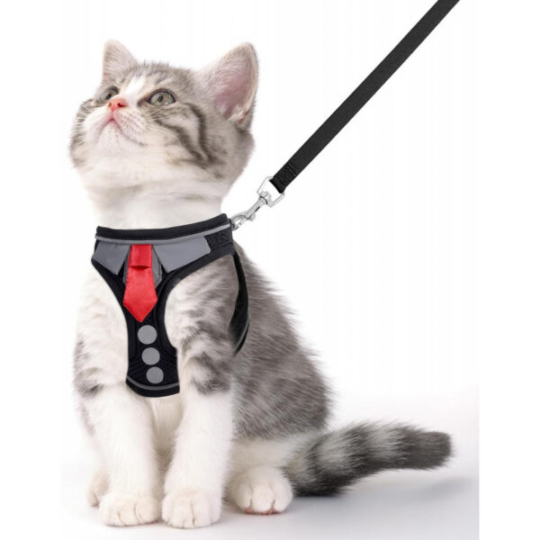 5942a8ce19c844f030f5a2bf5afc9c4c49e0d7a849e6c4278e5ab4d118ba0ea7.jpg Cat Harness and Leash Set for Walking Escape Proof