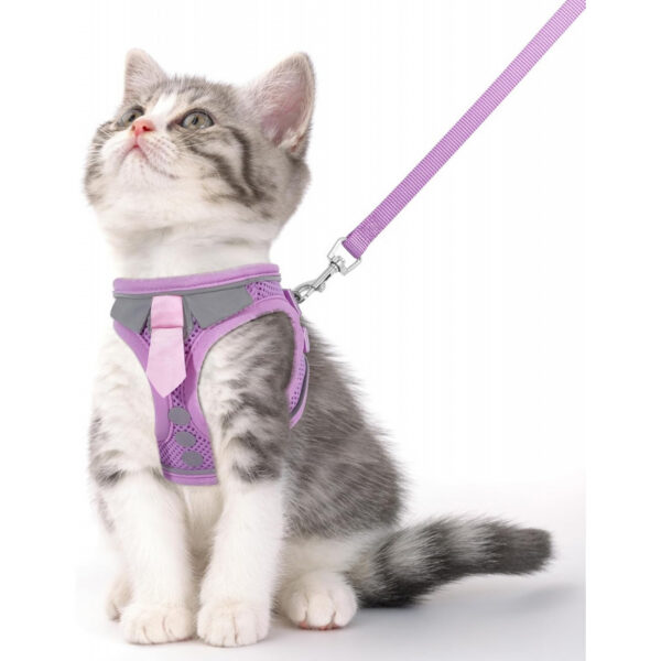 5be7fec9b35113bc9f7f95417eac13db67a47937e61a65f4be360c86fad002c7.jpg Cat Harness and Leash Set for Walking Escape Proof