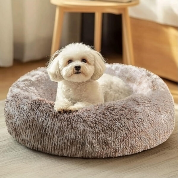 60dfbb7ca5f6a13d615085494a4badee8ad186668bcec9362d7b20ea85b792c4.jpg Small Dog Bed, Calming Soft Anti-Anxiety Donut Cat Bed
