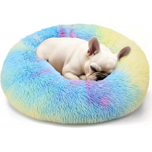 Dog & Cat Bed for Indoor Cats