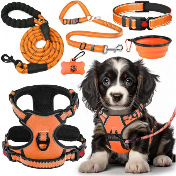 No Pull Dog Harness, Collar & Leash Set| Includes Dog Seat Belt