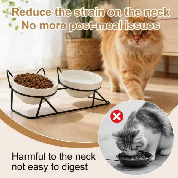 703e8cd6ea117be09c14a8f5931a65df48c0a75baaa265f5acb1a80509626e27.jpg Elevated Tilted Cat Bowls for Indoor Cats