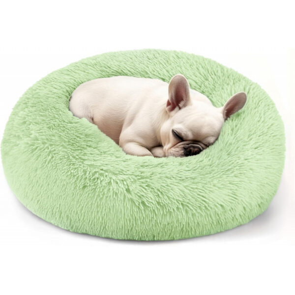 Dog & Cat Bed for Indoor Cats