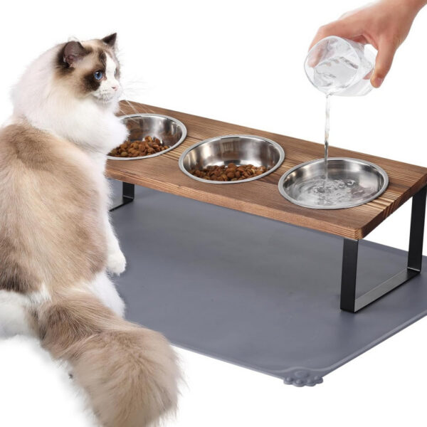7bec8af95816277acdecec335769c8dd7c2e39a1da8bdcb8db32cc73a6cafd5b.jpg Upgraded Elevated Cat Bowls with Food Mat