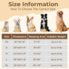 8174773ad5d34e8d3ce813381949fa51fbe71a4bdcc6b2965ad702789246bb74.jpg Calming Donut Dog and Cat Bed for Indoor Cats