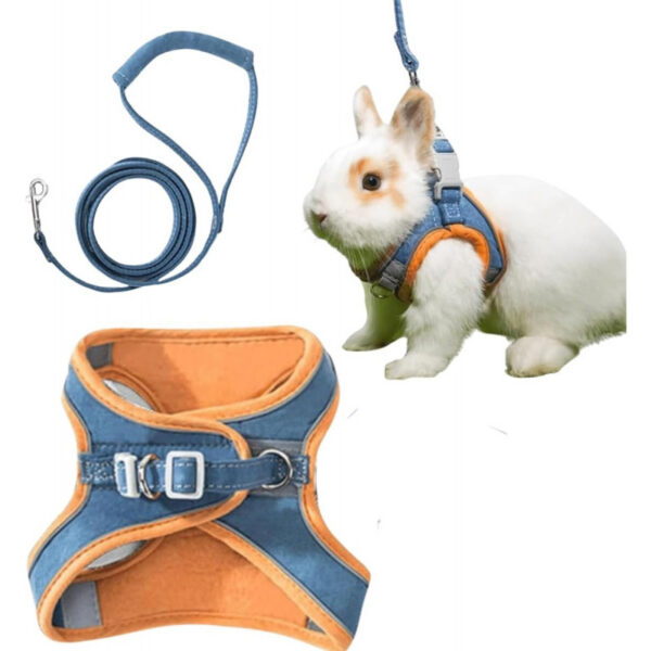 Adjustable Bunny Harness and Leash Set Double Buckle