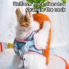 Adjustable Bunny Harness and Leash Set Double Buckle