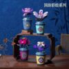 New Arrival Plant Series Educational Building Block Tiny Set 12 Styles Cup Plant Decoration Versatile Cup Flower Block Set