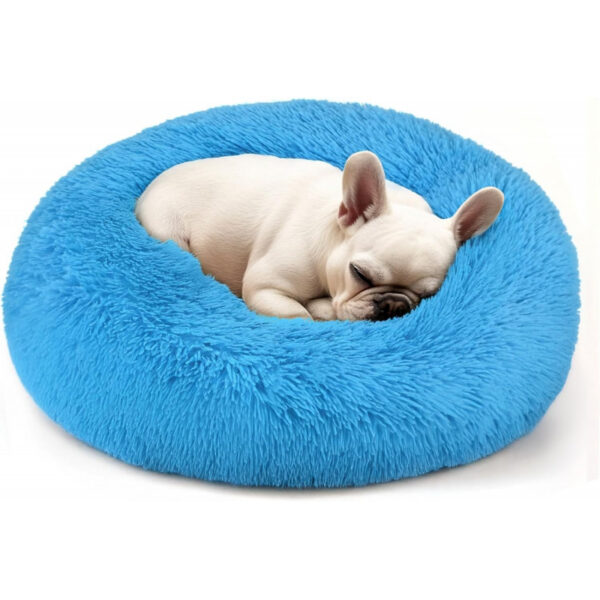 Dog & Cat Bed for Indoor Cats