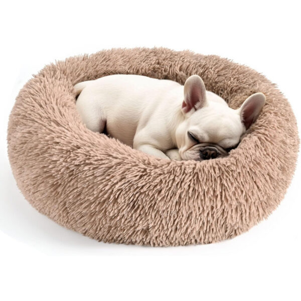 Dog & Cat Bed for Indoor Cats