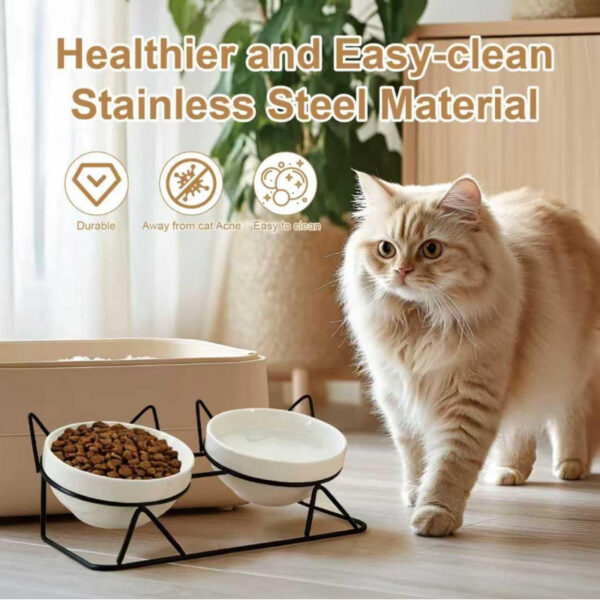 aa5d044a5b063ce12979db53c8bc84ee36fc48ccff9e411c6bf8732297e92f57.jpg Elevated Tilted Cat Bowls for Indoor Cats