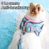 Adjustable Bunny Harness and Leash Set Double Buckle
