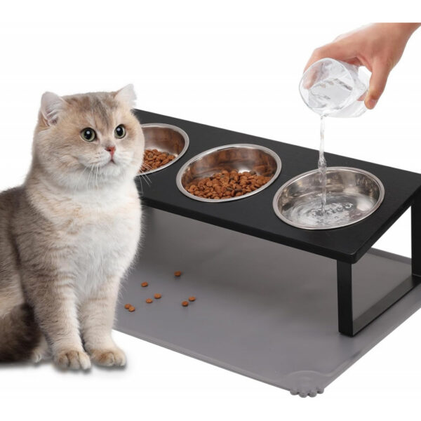 b17899223ec267bd3284bc94379a3e1f720ddee9b6d5d9b1762ab4c191e9b365.jpg Upgraded Elevated Cat Bowls with Food Mat