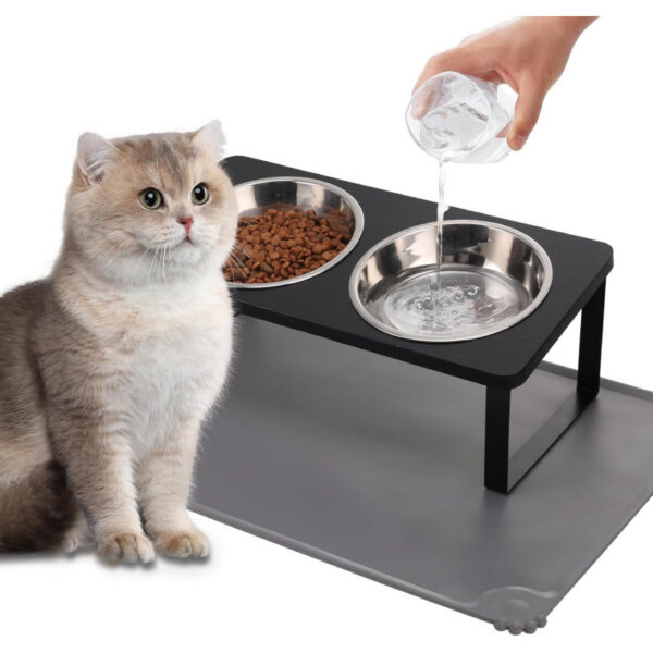 b6606c05a7fe1486dd79b5c265884c65164bd3beb5430ee2b9cc6dbd23ed2251.jpg Upgraded Elevated Cat Bowls with Food Mat