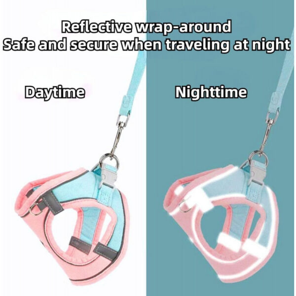 Adjustable Bunny Harness and Leash Set Double Buckle