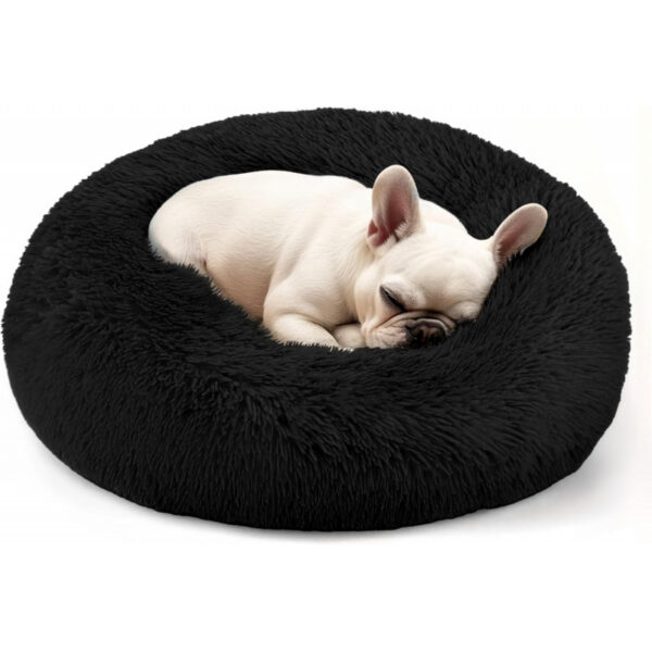 Dog & Cat Bed for Indoor Cats