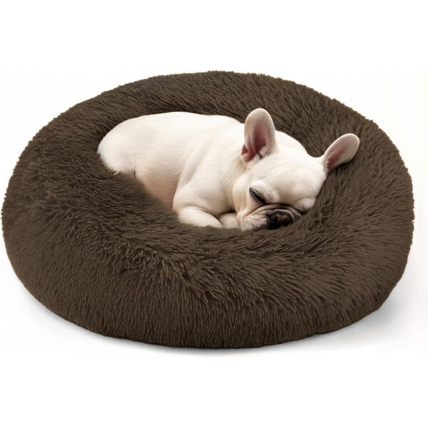 Dog & Cat Bed for Indoor Cats