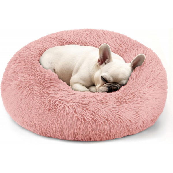 Dog & Cat Bed for Indoor Cats
