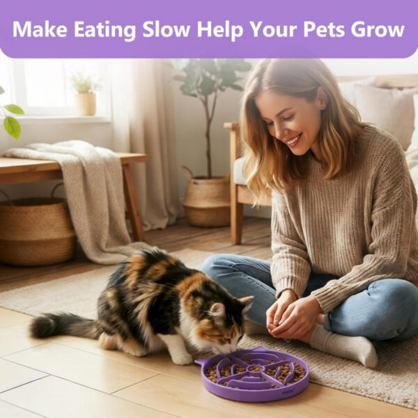 e714fb1653aa7c60187ee0d2f1d725d53ce49a80266a09da2d09361afb92c84f.jpg 2 Pcs Silicone Slow Feeder Cat Bowl
