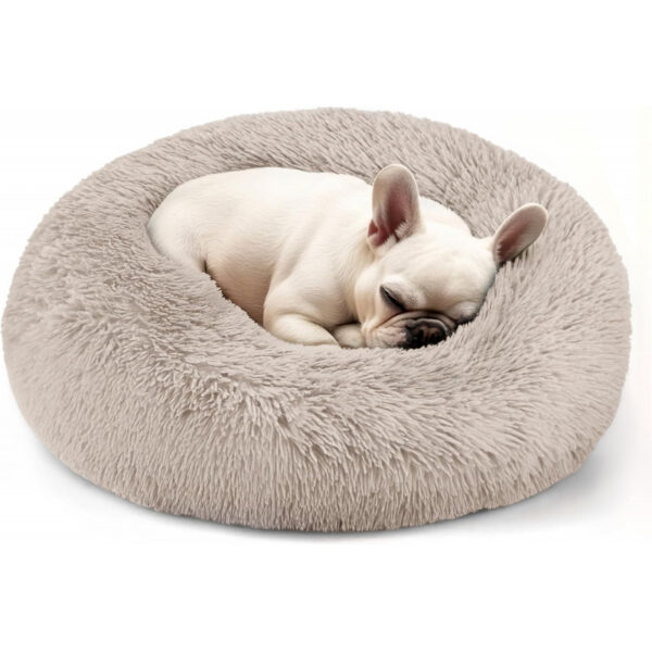Dog & Cat Bed for Indoor Cats